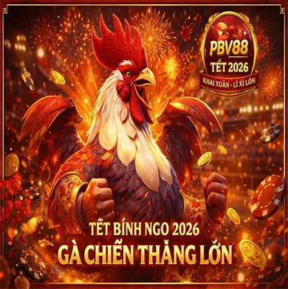 gà pbv88 2026